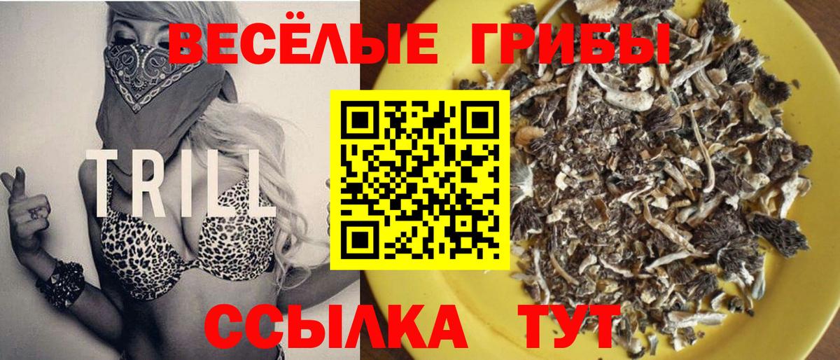 Галлюциногенные грибы мицелий Севастополь